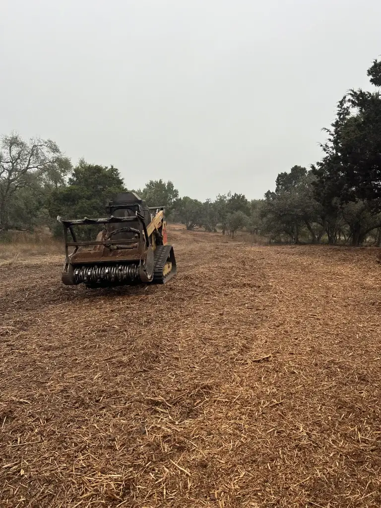 Timber Management & Land Clearing | Central Texas Services